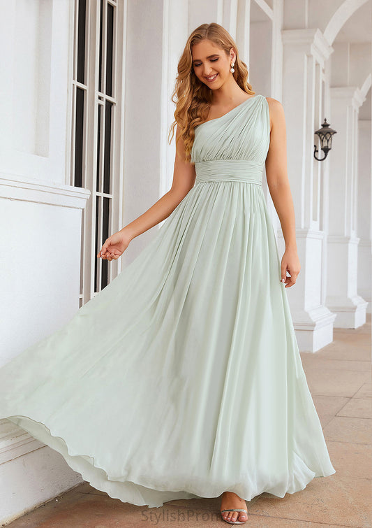 A-line One-Shoulder Sleeveless Chiffon Long/Floor-Length Bridesmaid Dresses With Pleated Paulina HQP0025382