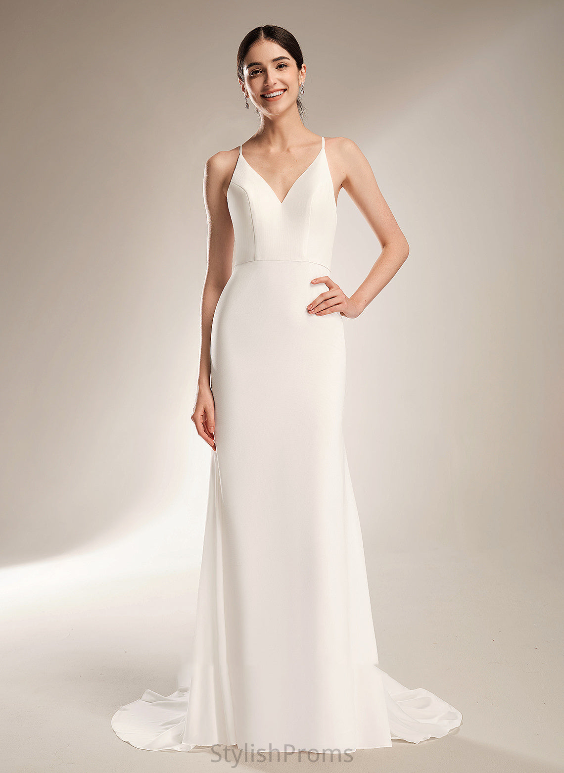 With Dress Train Yasmine Wedding Wedding Dresses Sheath/Column Court Lace V-neck