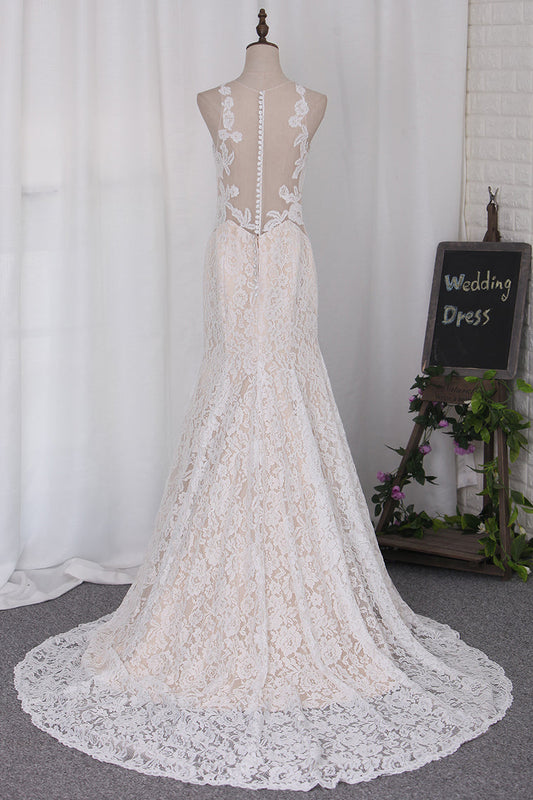 Wedding Dresses