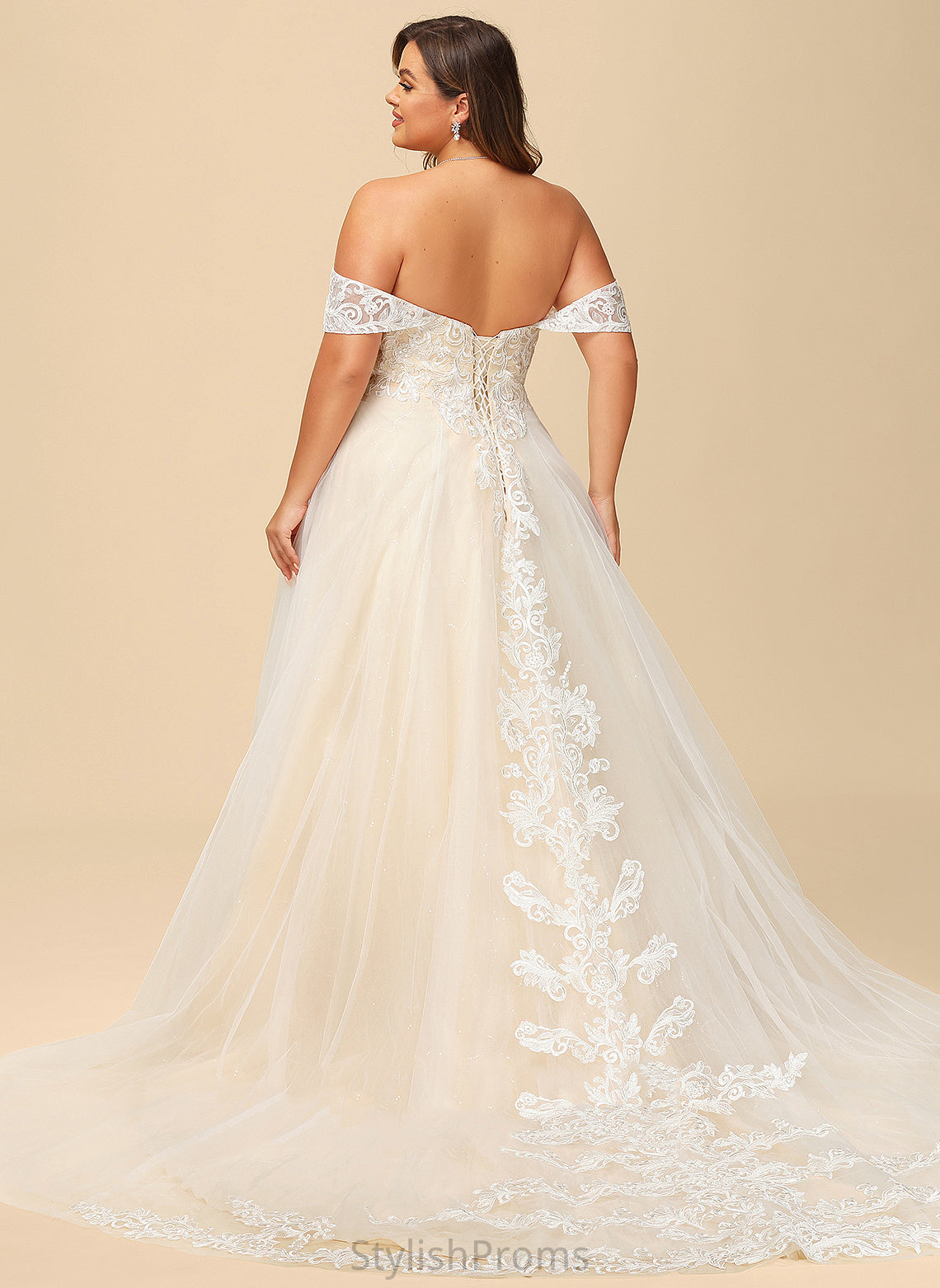 Rowan Wedding Dresses Court Wedding With Ball-Gown/Princess Off-the-Shoulder Dress Sequins Lace Tulle Train