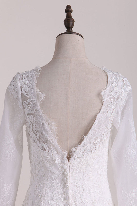 2024 Wedding Dresses Scoop Long Sleeves Open Back Lace With Applique