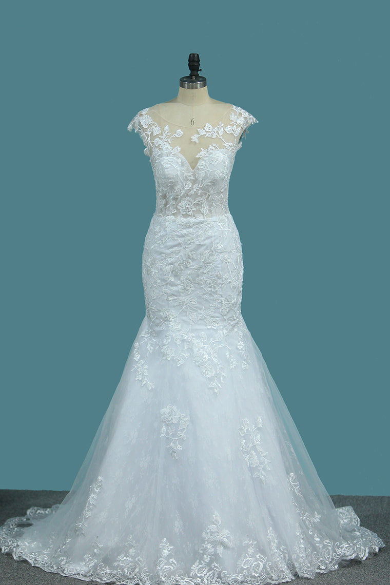 Wedding Dresses